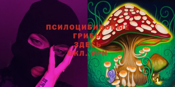метамфетамин Богородицк
