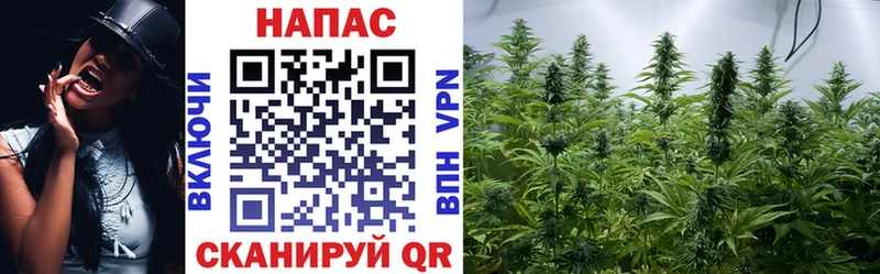 даркнет телеграм  наркошоп  Ильский  Бошки марихуана марихуана 